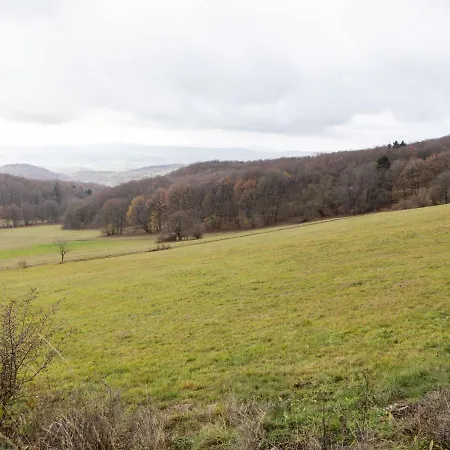 Holiday home With Terrace Near The Rennsteig *