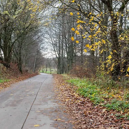 Holiday home With Terrace Near The Rennsteig Bad Liebenstein