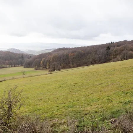 With Terrace Near The Rennsteig