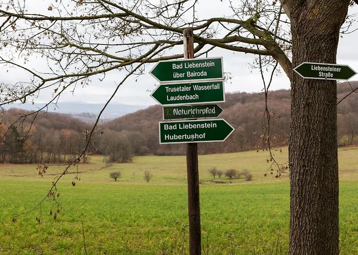 Tatil Evi With Terrace Near The Rennsteig *